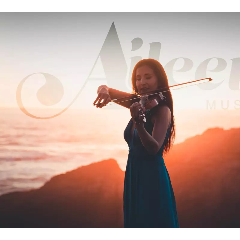 Wholesale Violin Suppliers: A Guide for Music Instrument Retailers
