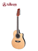 AFO29CE-12 New Matt Finish ABS 12 Strings Round Back Acoustic Guitar