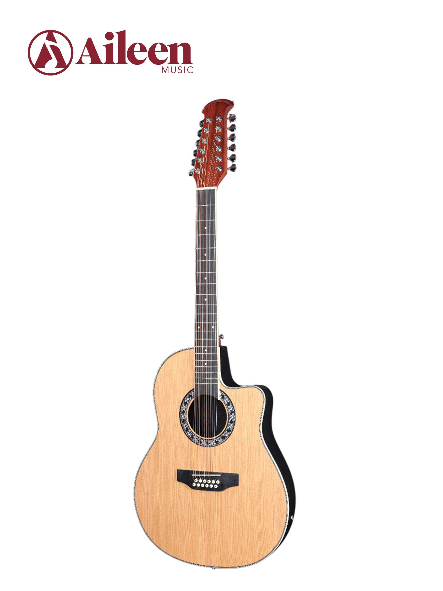 AFO29CE-12 New Matt Finish ABS 12 Strings Round Back Acoustic Guitar