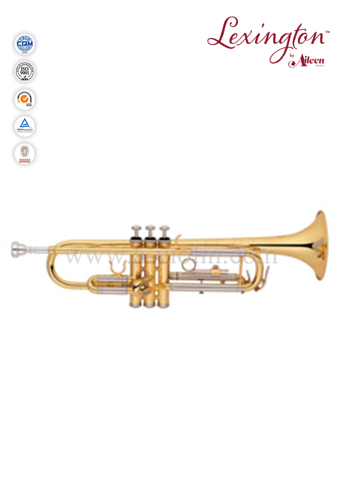Advanced student Trumpet-Y style with Monel Piston(TP8590G)