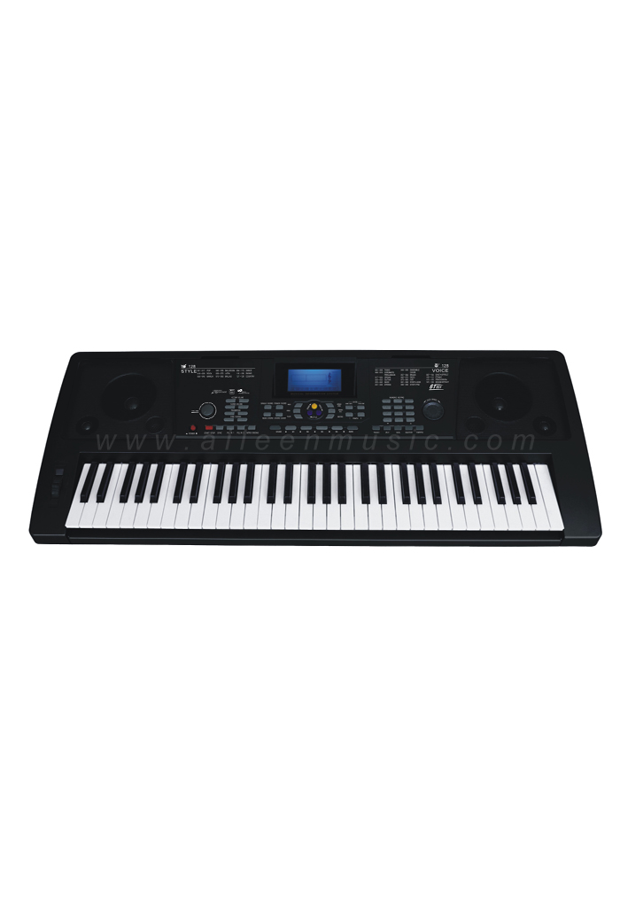 61 Keys Electric keyboard/organ with touch response(EK61313)