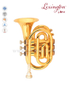 Bb Brass Pocket Stainless steel Piston Trumpet (HTP8503G)
