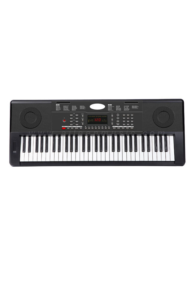 61 keys Electric keyboard with LED Display,300 Tone(EK61310)