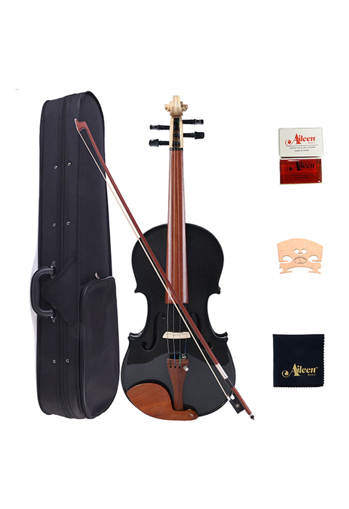 Elevate Your Music School's Curriculum with Essential Violin Accessories