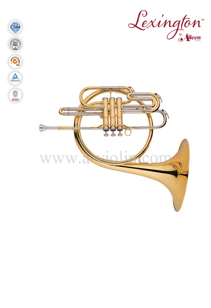 Piston Valves French Horn Music Instrument (FH7036P-G)
