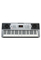 54 keys ELectric keyboard with LED Display,300 tone&amp; rhythm(EK54303)