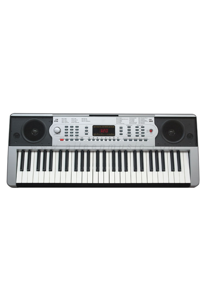 54 keys ELectric keyboard with LED Display,300 tone&amp; rhythm(EK54303)