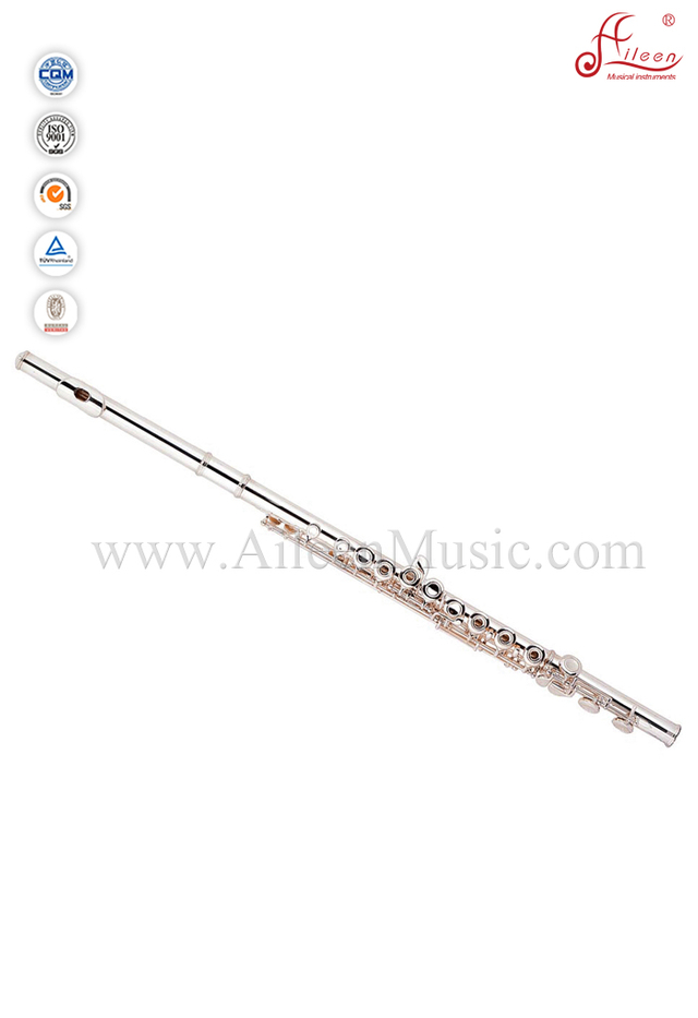 Entry-level 16 Hole White Brass/Nickel Silver C Key Flute (FL4311S)