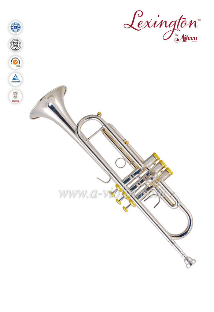 Bb Key Stainless steel Piston Yellow Brass jinbao trumpet (TP050S)