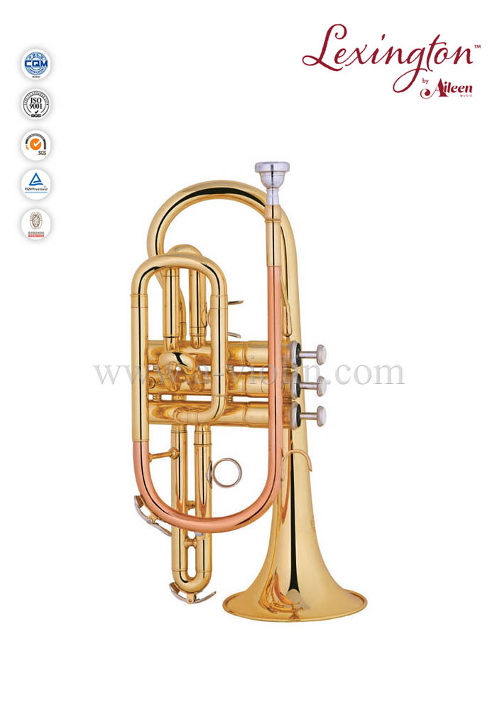 bB Y style Brass lacquered Cornet-General grade (CN8711G)