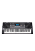 61 Keys Electric Keyboard/Music Keyboard Instrument (EK61223)