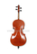 Flamed Handmade Smooth Spirit Varnish Advanced Cello (CH300Y)
