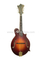 F Style Handmade Solid Maple Mandolin With Flame (AM505F)