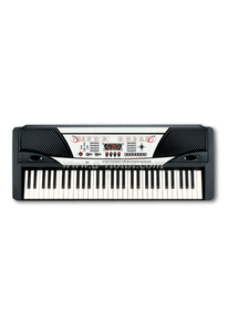 61 Keys Electronic Organ/Electronic Keyboard Instrument (EK61202)