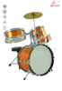 Wholesale 5-PC Drum Set Jazz Drum Set For Beginner (DSET-80)