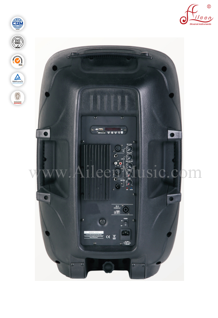 15" 95dB Sensitivity Plastic Cabinet PA Speaker (PS-1520APE)