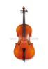 Professional Entry-level Flamed Advanced Cello (CH100D)
