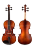 Selected Solidwood with All Accessories Advanced Student Violin Outfit (VG107S)