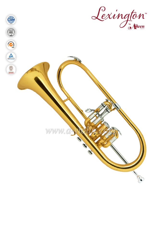 Bb Key Yellow brass Monel Piston Cupronickel jinbao flugelhorn