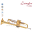 Y style Brass lacquered General Grade Trumpet (TP8391G)
