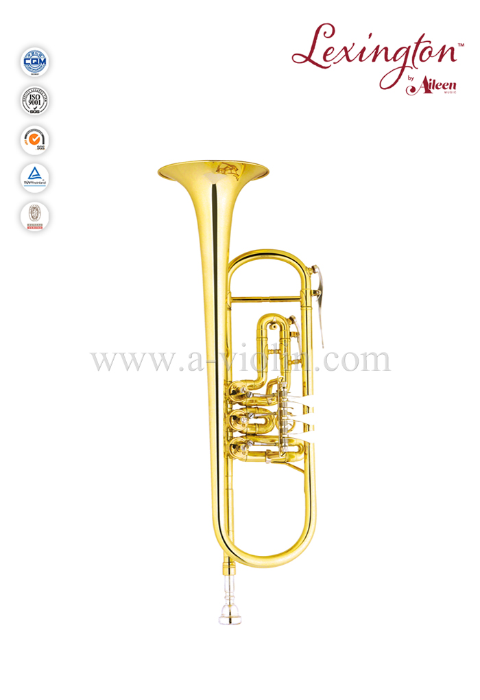 Standard Rotary Valve Professional Trumpet With Premium Case (TP8807G)