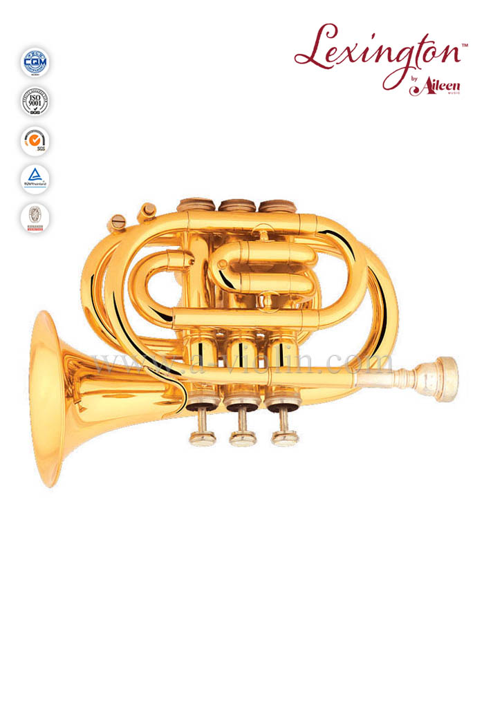 Bb Brass Pocket Stainless steel Piston Trumpet (HTP8503G)