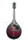 Round or F Soundhole A Style Wooden Mandolin (AM03)