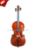 Wholesale Laminated Wood Body Student Cello (CG001)