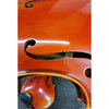 Student Violin, Hand Applied Spirit Varnish Advanced Violin (VH100Z)
