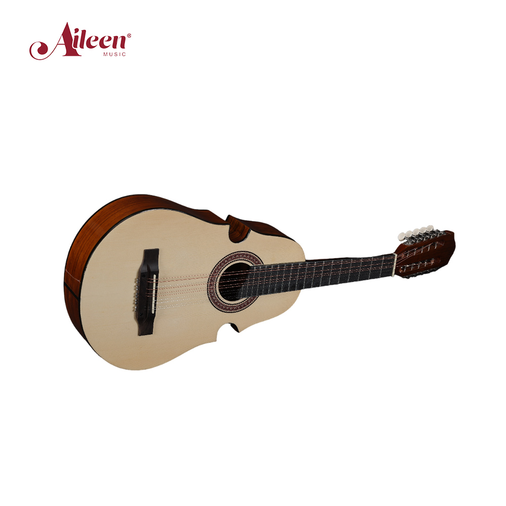 China 34" Spruce 10 strings Acoustic guitar( AF18-10)