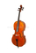 Solid spruce top high quality Advanced cello (CH200VA-K)