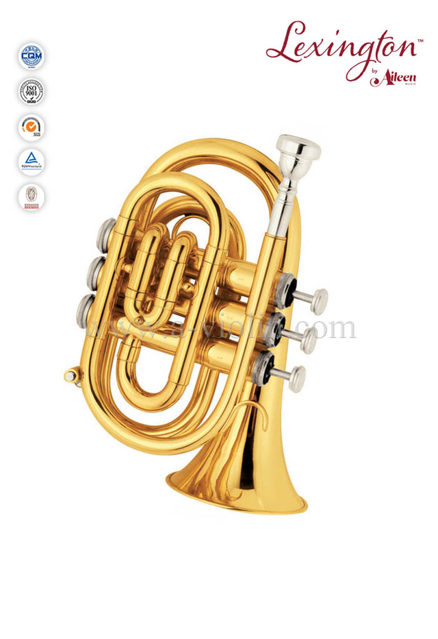 bB Brass Lacquered Pocket Trumpet-2pcs Waterkey(HTP8504G)