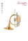 Piston Valves French Horn Music Instrument (FH7036P-G)