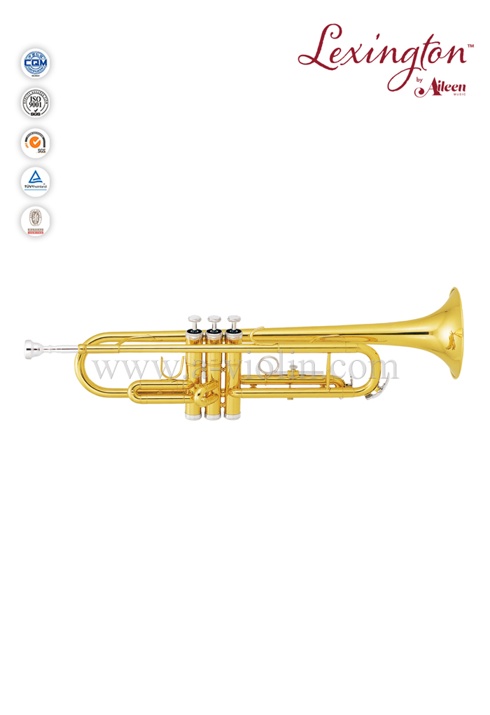 Bb Key Cupronickel with nickel plated Piston Yellow Brass jinbao trumpet (TP300G)