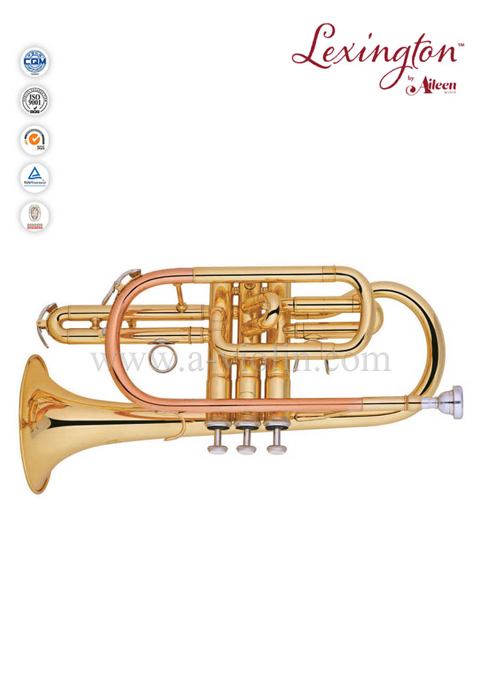 bB Y style Brass lacquered Cornet-General grade (CN8711G)