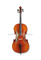 Professional Varnish Spruce Student Cello (CG106)