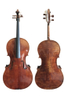 Professional Performance European Material Cello A Grade(CH600EM)