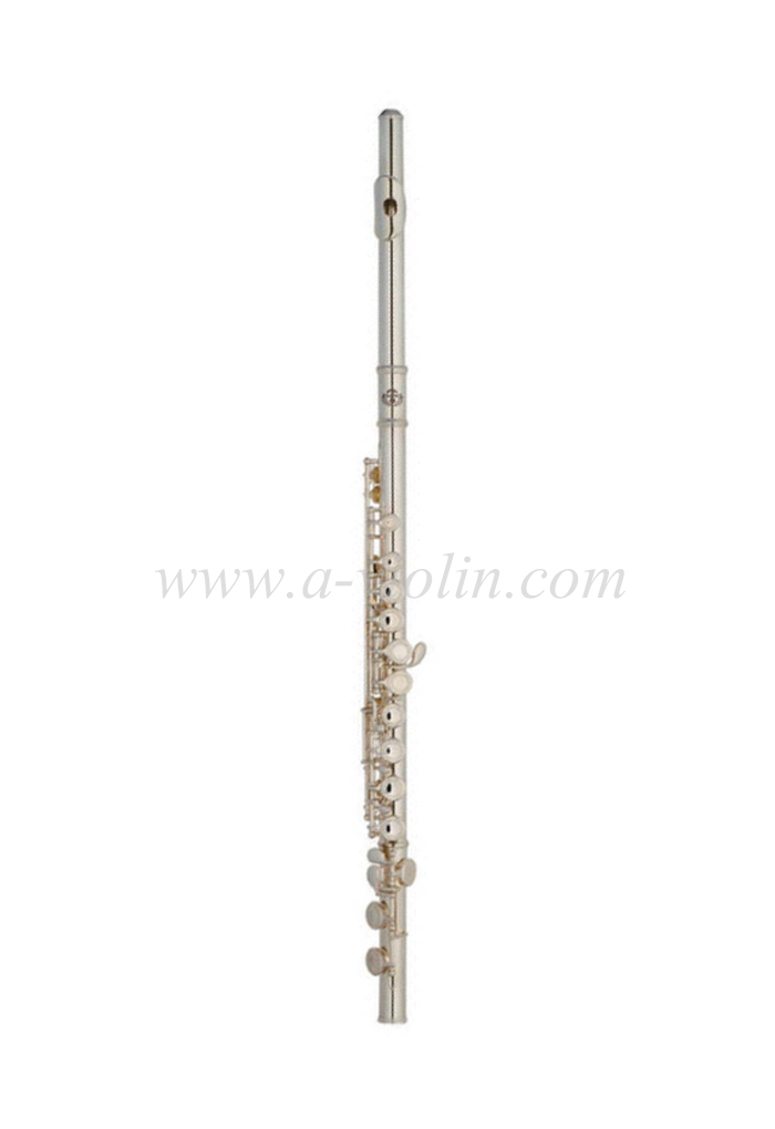 [Aileen] Y style 16 holes C key student flute (FL4116S-E)