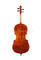 Solid spruce top high quality Advanced cello (CH200VA-K)