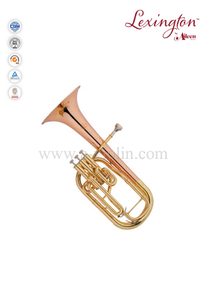 BS style intermediate Gold Lacquer Alto Horn (AH9712G-YYR)