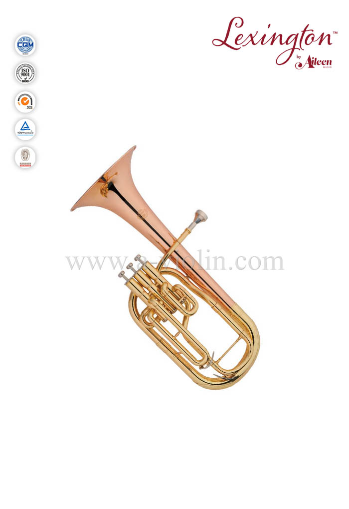 BS style intermediate Gold Lacquer Alto Horn (AH9712G-YYR)