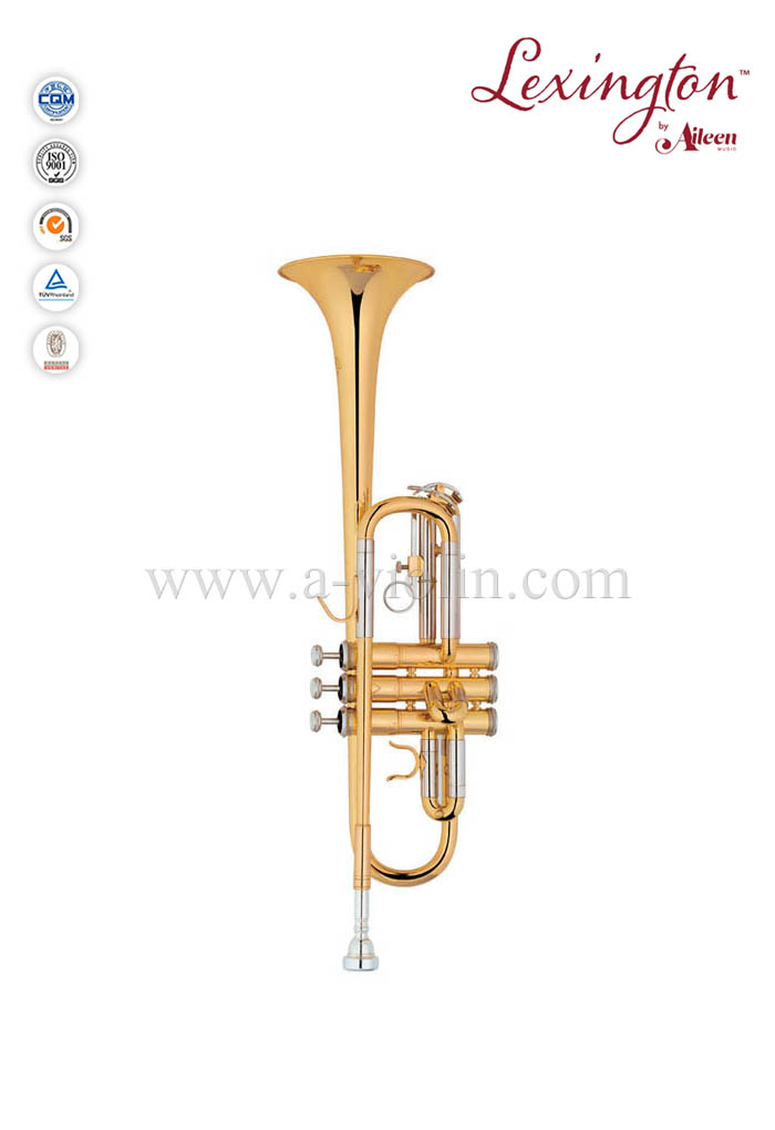 C Key Intermediate Trumpet With Premium Case (TP8376G)