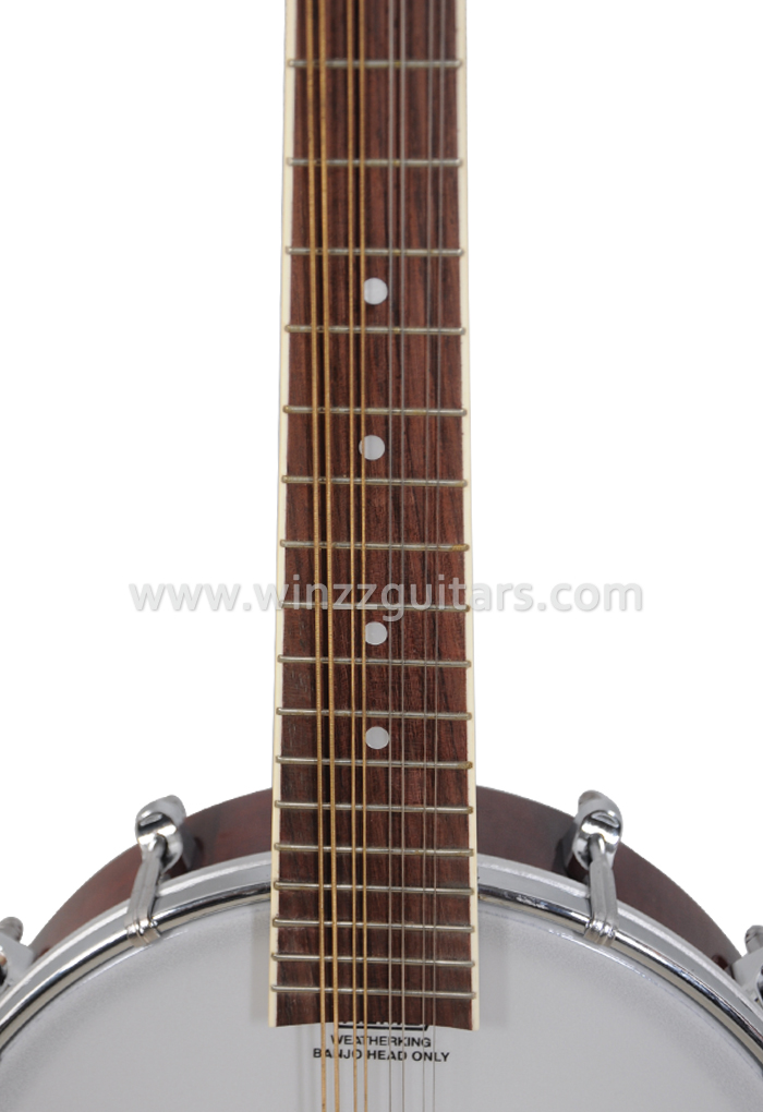 18 frets Sapele plywood body Remo head Banjo mandolin (AB12-M)