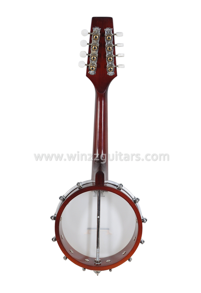 REMO Head Mandolin Banjo (AB-12M)