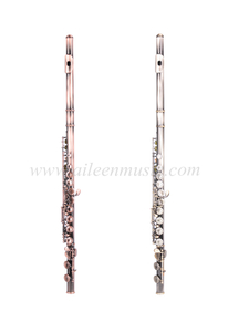 16 Keys Cupronickel Body Antique Brass Finish C Key Entry Grade Flute (FL-G601AS)