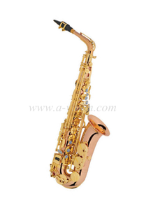 China Factory High Grade Y style Alto Saxophone(SP1012R-G)