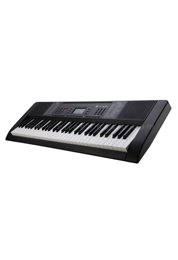 61 keys Electric keyboard with LED Display(EK61301)