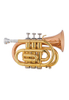 bB Key Advanced Student Pocket Trumpet(HTP8504G-YYR)