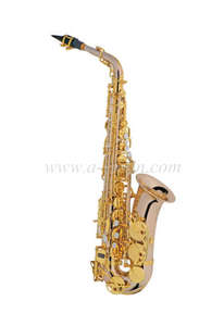 Upgraded Rose Brass Alto Saxophone Student Model(SP1013R-G)