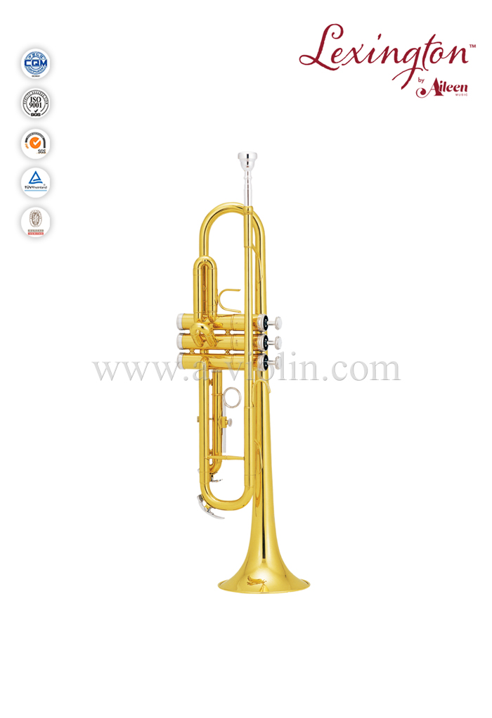 Bb Key Cupronickel with nickel plated Piston Yellow Brass jinbao trumpet (TP300G)